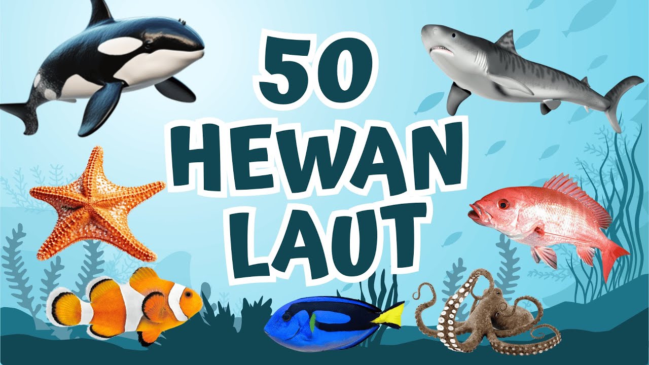50 Hewan Laut untuk Edukasi Anak | Belajar Nama Hewan Laut