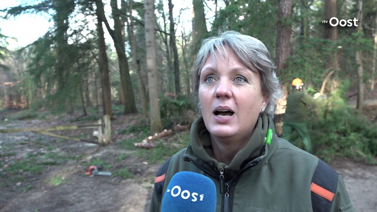 Dringend advies van boswachters: mijd de Sallandse Heuvelrug