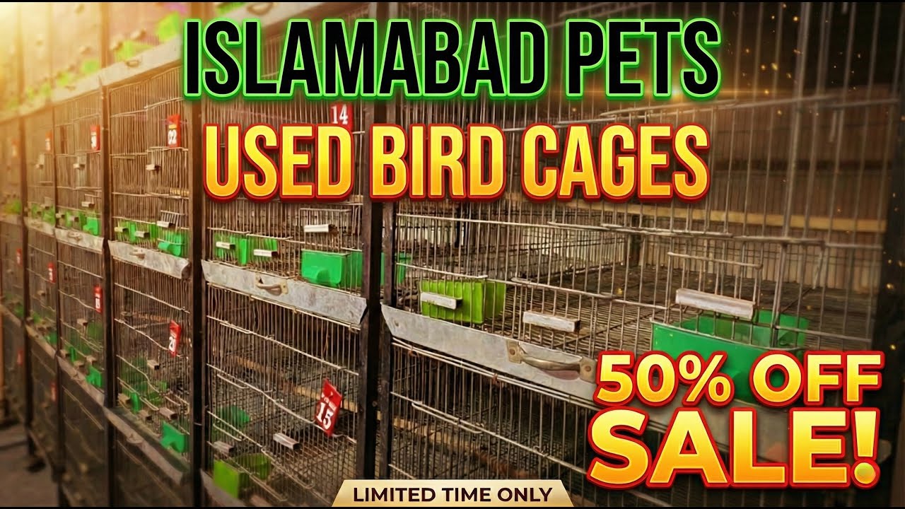 Breeding Cages Pe 50% Discount / Used Bird Cages Sale / January 9, 2026