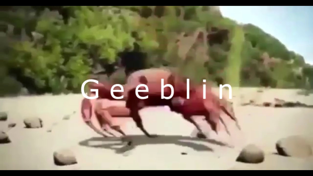 Geebs.MP4