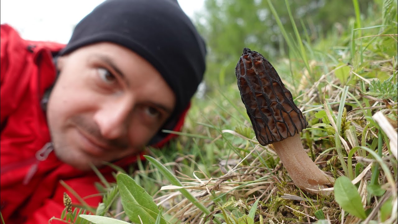 magiczne SMARDZE na grzybowym biwaku w Bieszczadach