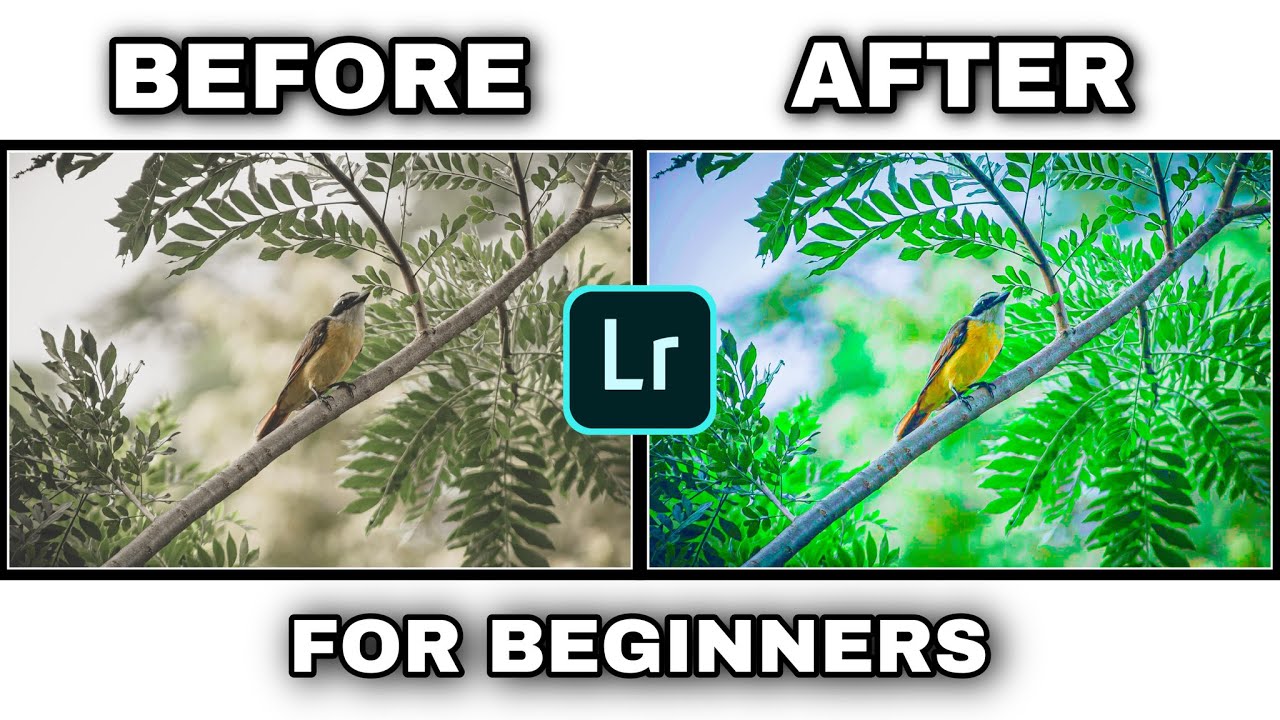 Lightroom mobile tutorials for beginners   | Editing and retouching