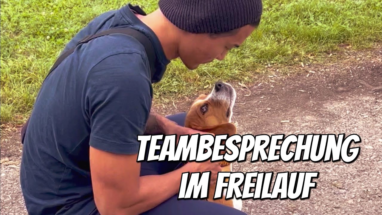 Teambesprechung im Freilauf