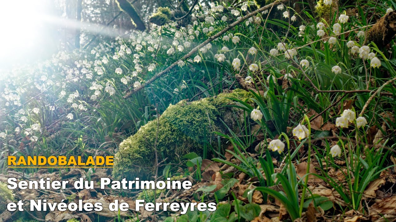 Sentier du Patrimoine et Nivéoles de Ferreyres - Randobalade