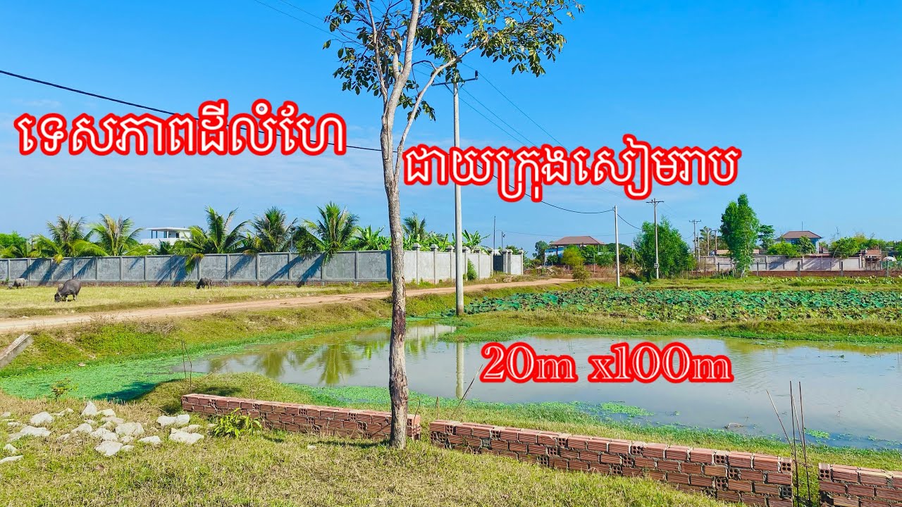 Real Estate625 | ដីលក់បែបលំហែជាយក្រុងសៀមរាប Land for sale In Siem Reap |085282882