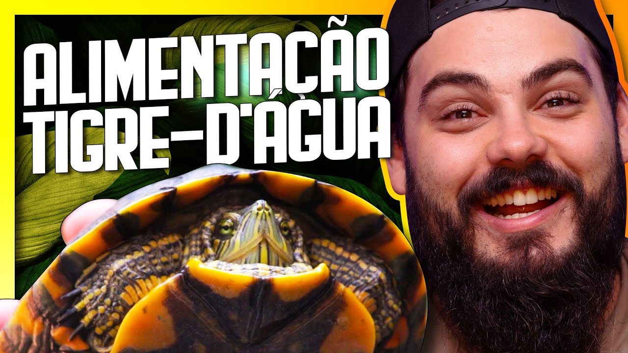 Alimentação TIGRE-D'ÁGUA - Como alimentar CÁGADO/TARTARUGA DE ÁGUA - O que eles comem? - Biólogo Tai