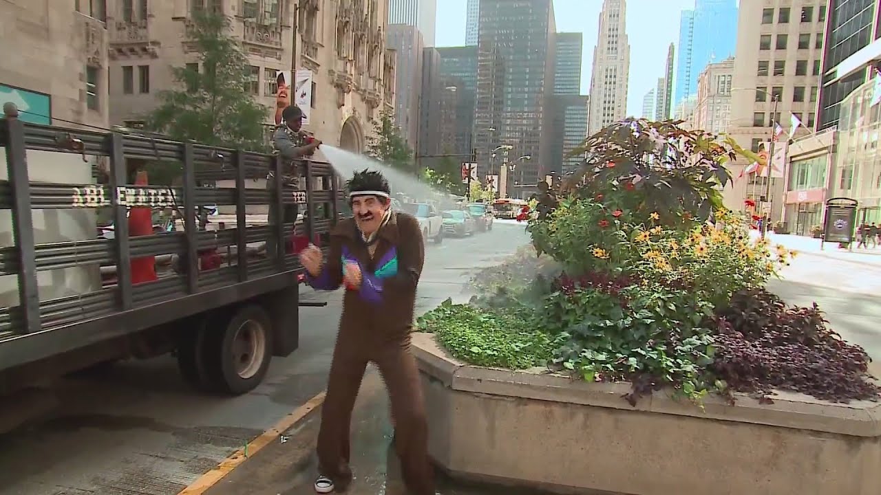 Dance around Chicago with Wink Winkle