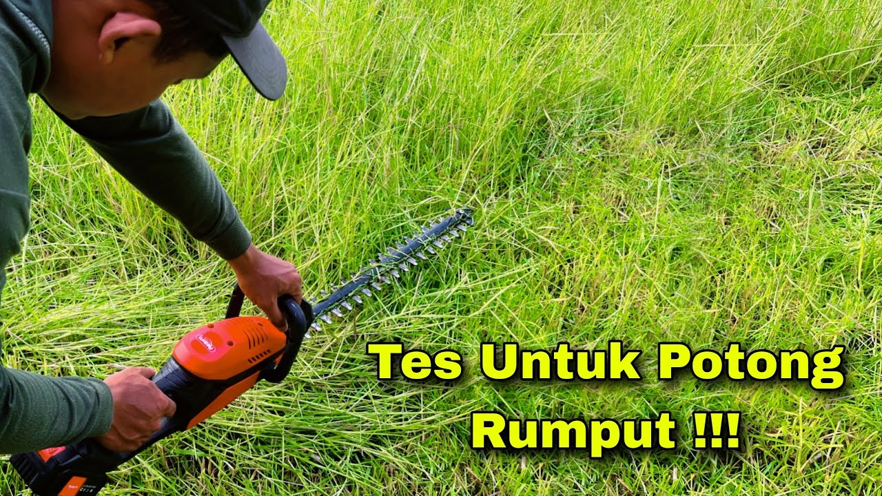 Tes Hedge Trimmer Alat Pemotong Dahan Untuk Potong Rumput❗️Apakah Bisa Mari Kita Coba