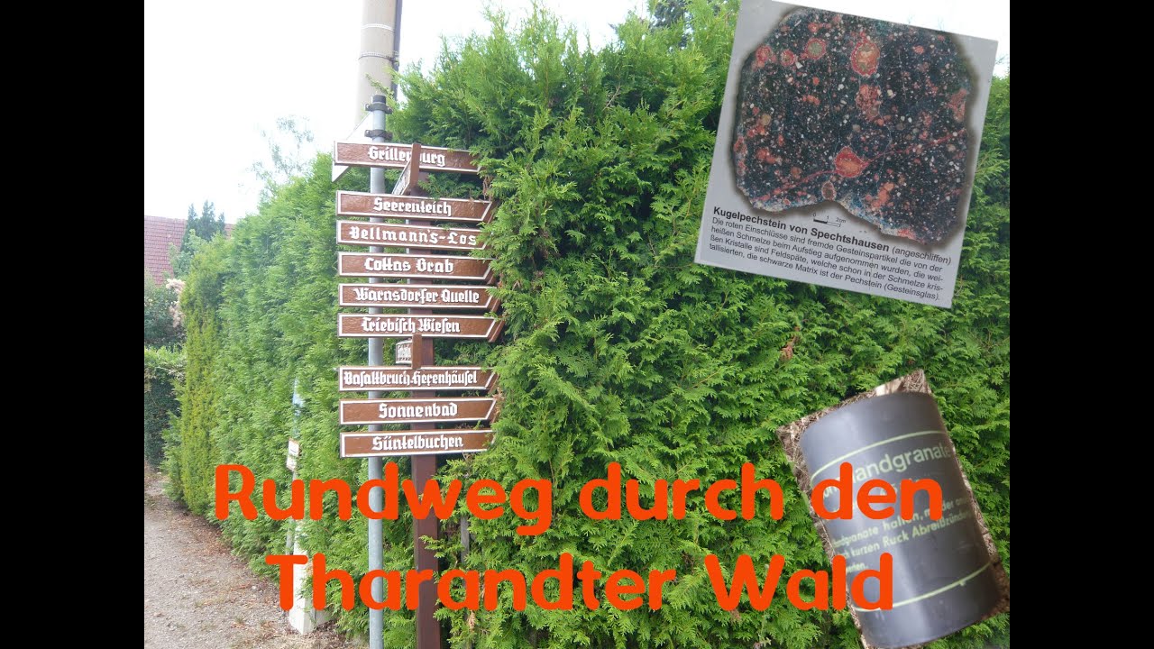 Rundweg durch den Tharandter Wald