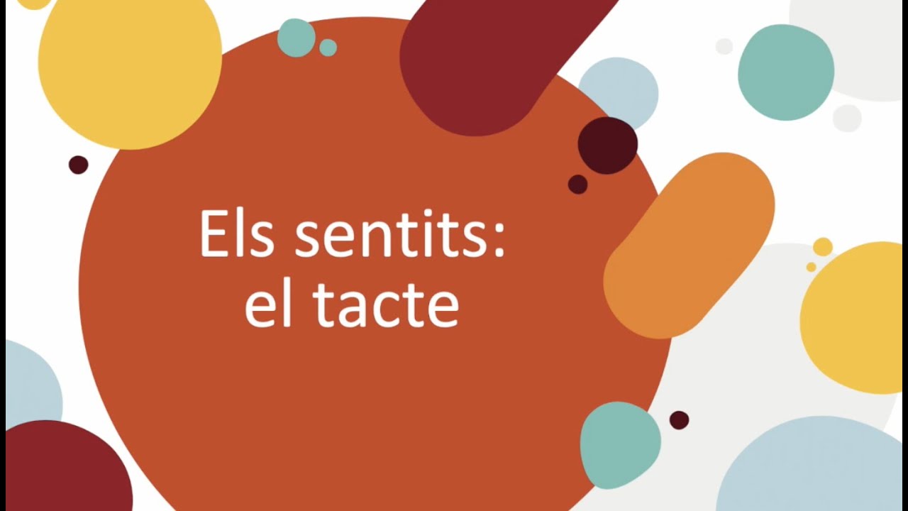 Els sentits 4 El tacte