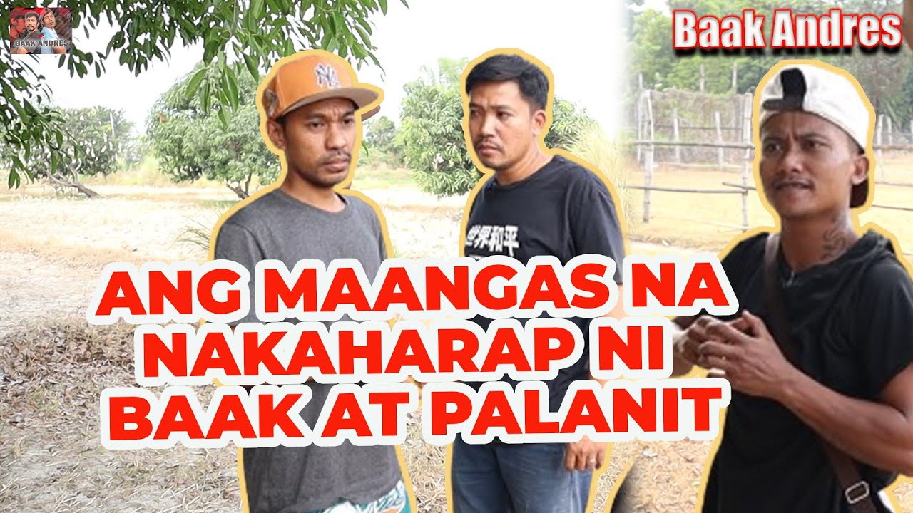Ang Maangas Na Nakaharap Ni Baak At Palanit - Baak Andres