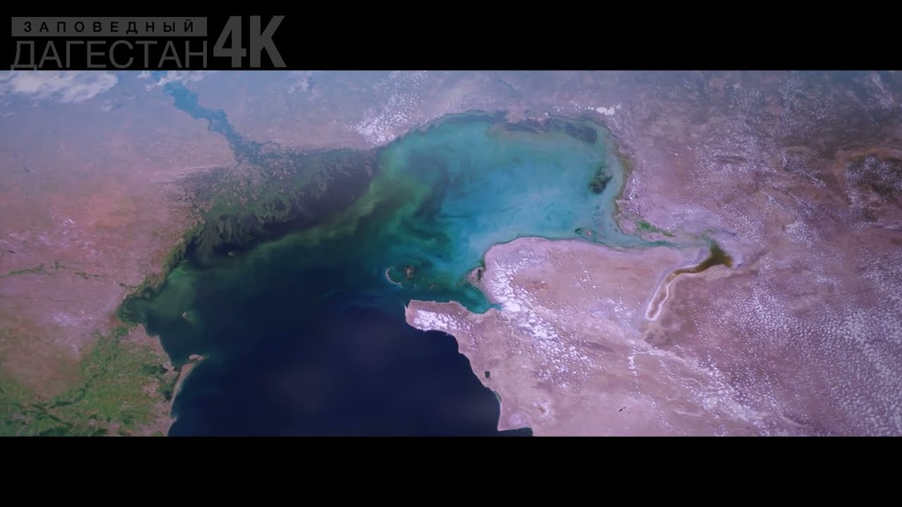 Северный Каспий. Международная экспедиция по изучению природы.
