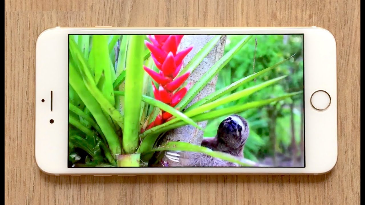 Test iPhone 6 Plus