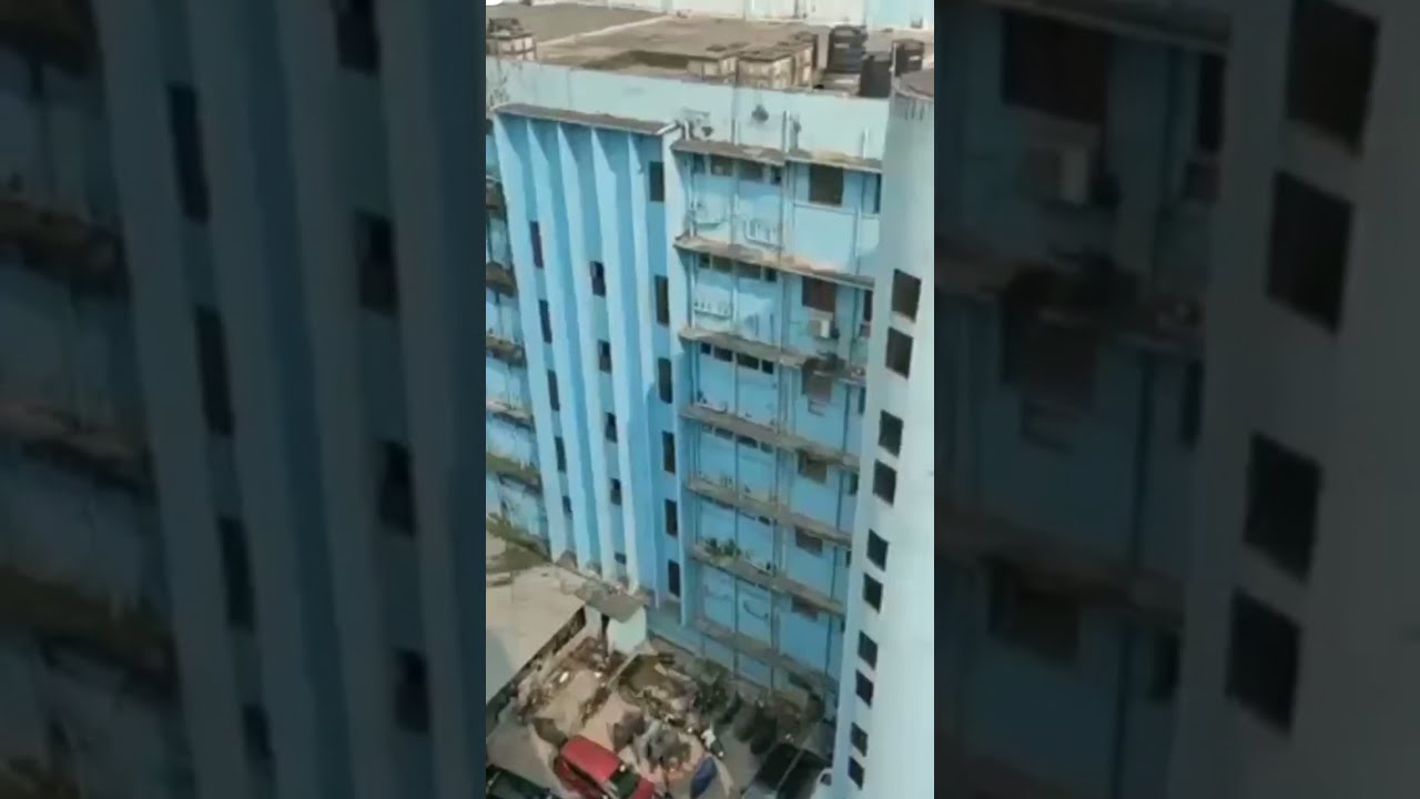 😲cat jumping 5th building