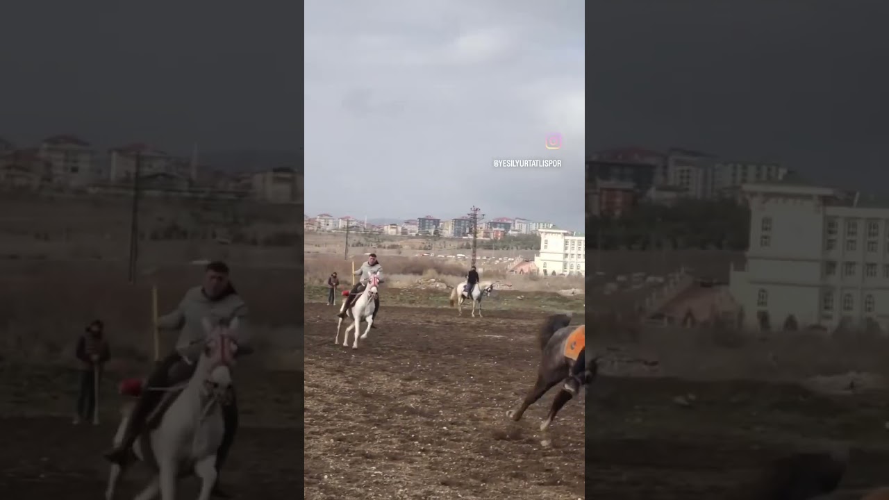 ATLI CİRİT ANTRENMANI #at #cirit #atlıspor #javelinhorse