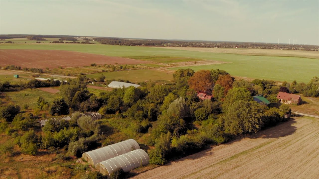 Solidarische Landwirtschaft (SoLawi Waldgarten)