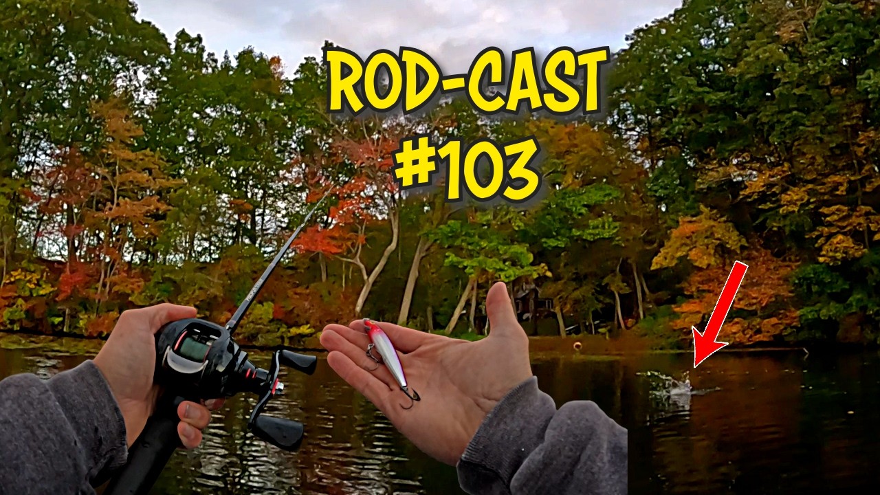 My Fish Senses are TINGLING! | I'm Not a Doctor | Rod-Cast Ep:103