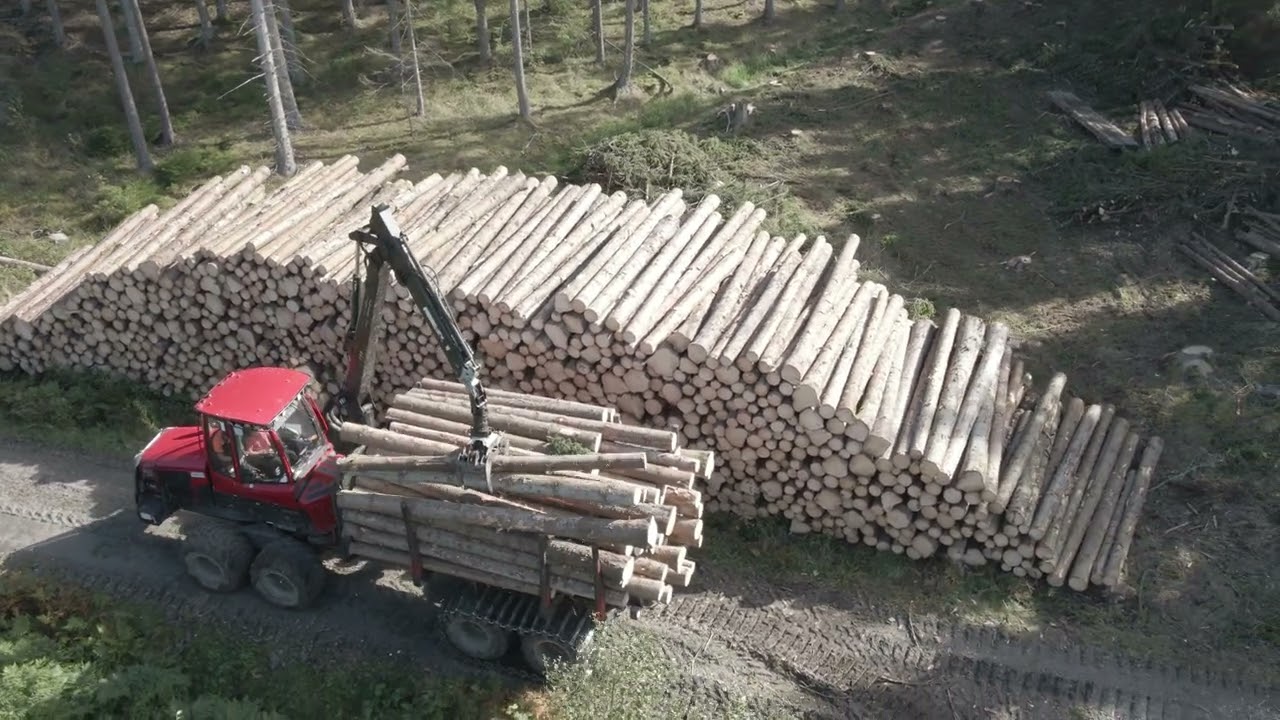 Forest harvesting in 2022 [Sweden]