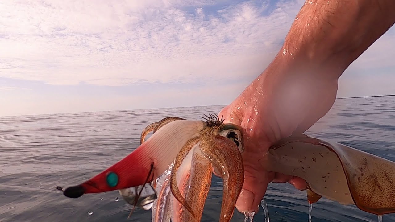 FISHING Port Victoria South Australia - ep #4