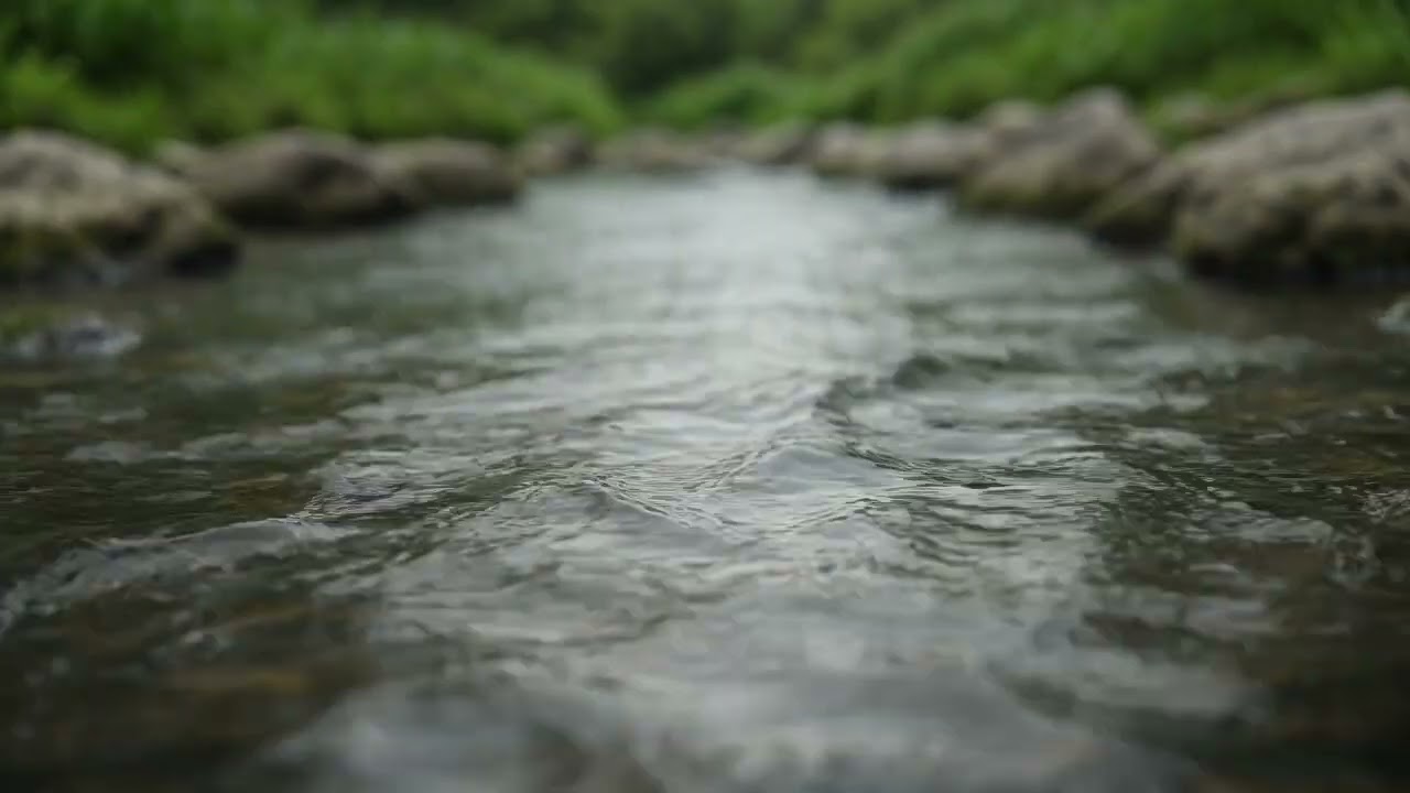 Peaceful River Stream in Mountain Valley | Soothing Water Flow for Meditation