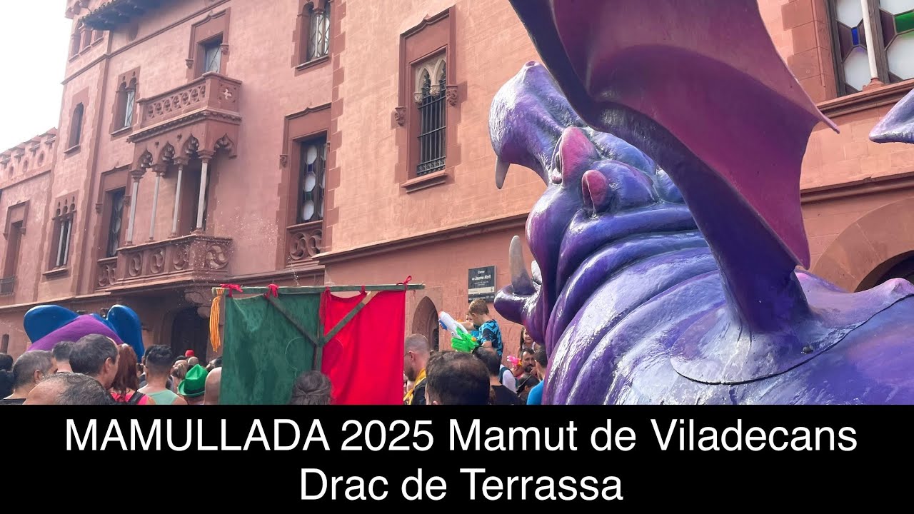 MAMULLADA 2025 Mamut de Viladecans - Drac de Terrassa
