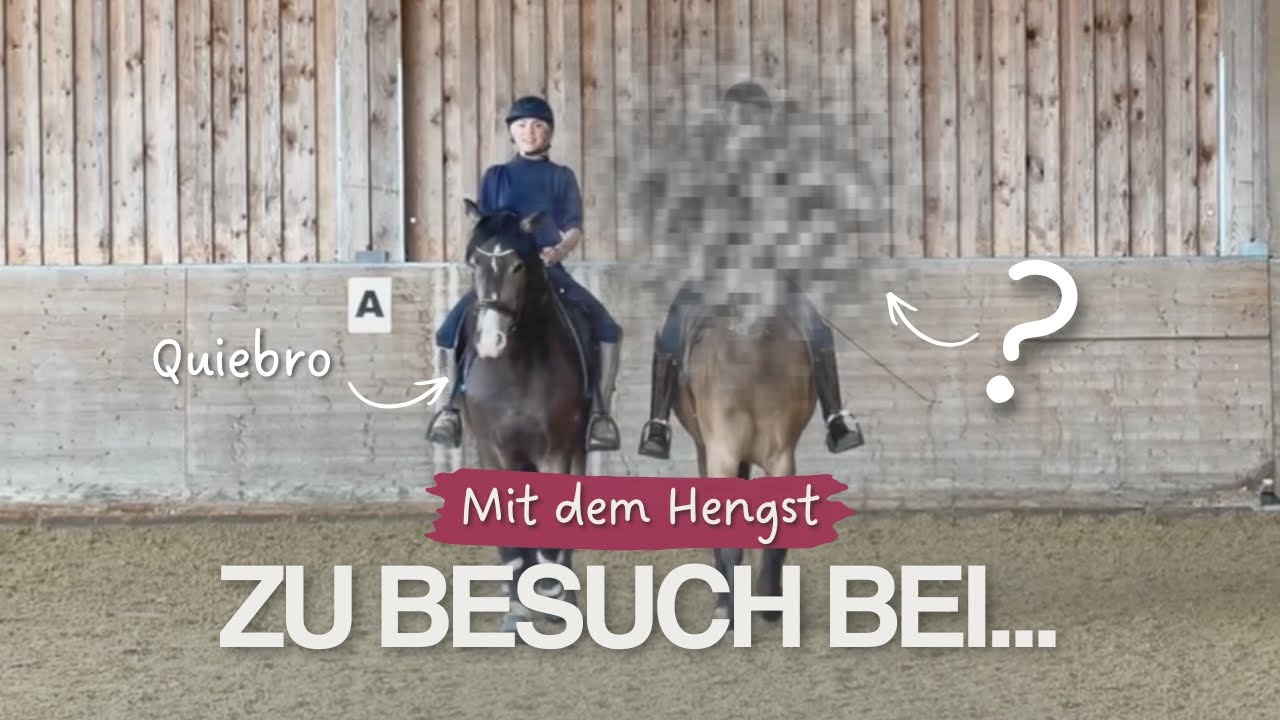 Zu Besuch bei…💭🤭 #besuch #ausflug 
