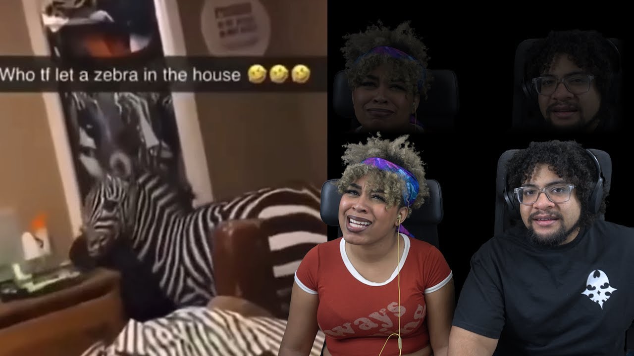 Unusual Memes We Never Saw Coming