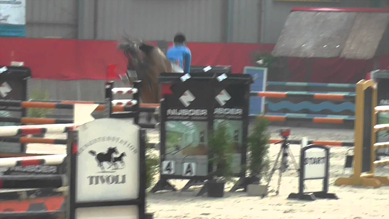 Wimphof's Da Vinci by Canturano x Haertbreaker @ 1.30m CH Luttenberg