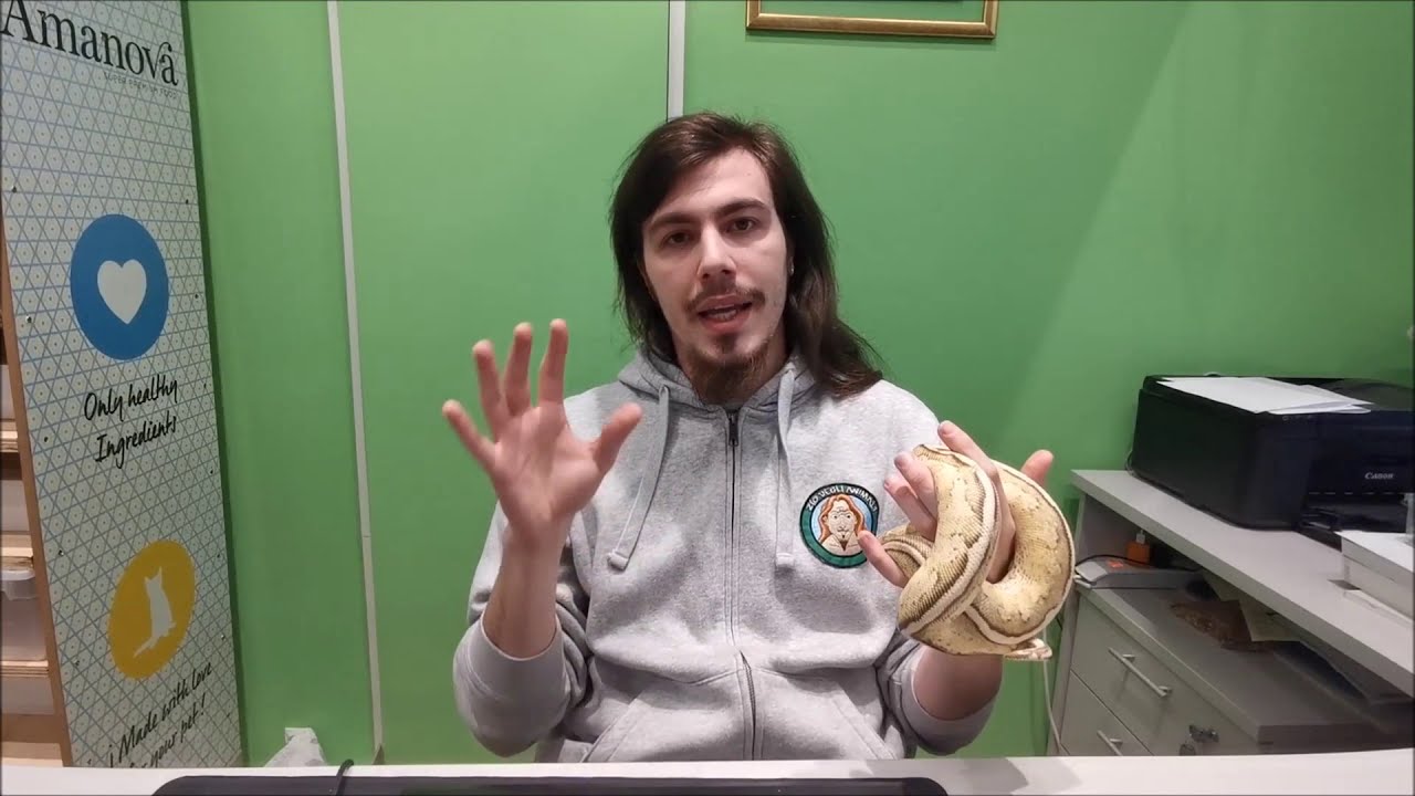 Differenze tra letargo, bruma e ciclaggio!