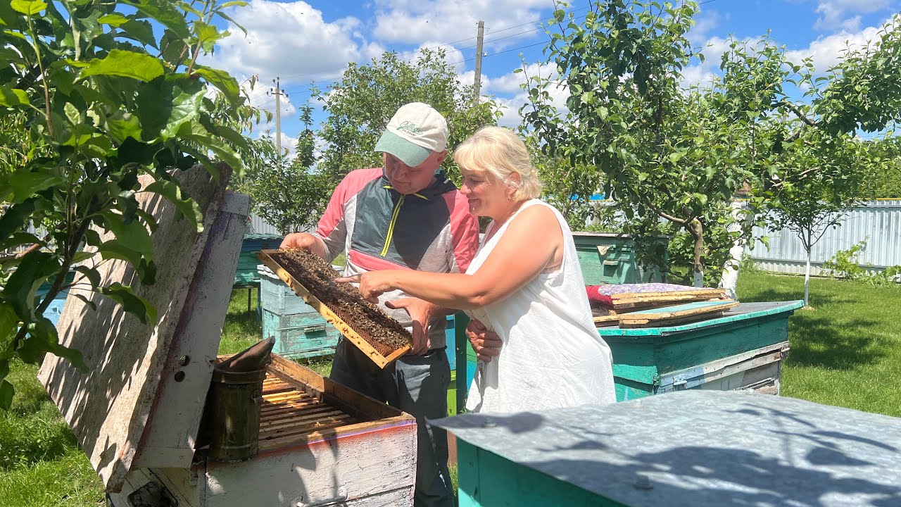 Taste of summer:First honey,🍯 sweet 🍓 and early potatoes.🥔 