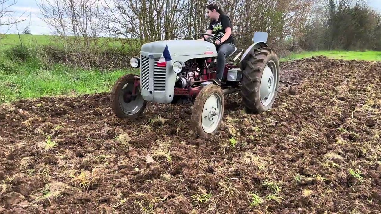 Déchaumage Ferguson ff30ds 