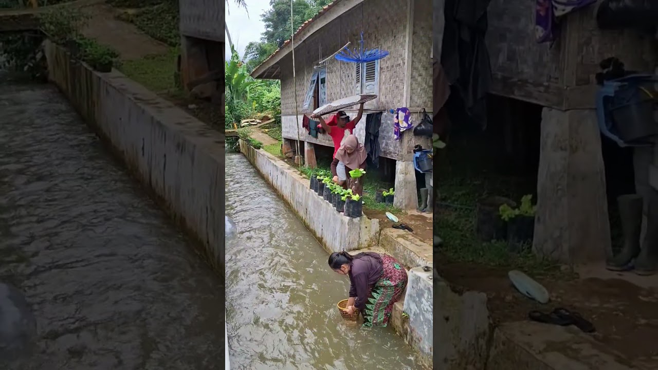 simple life in the village 