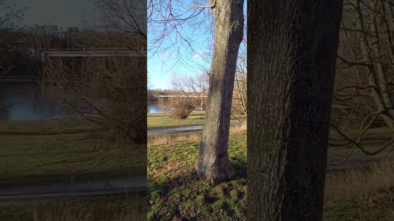 Gang an der Alten Elbe / Turmschanzenstraße. Erinnerung an ein altes  Frühlingsgedicht von Mama.