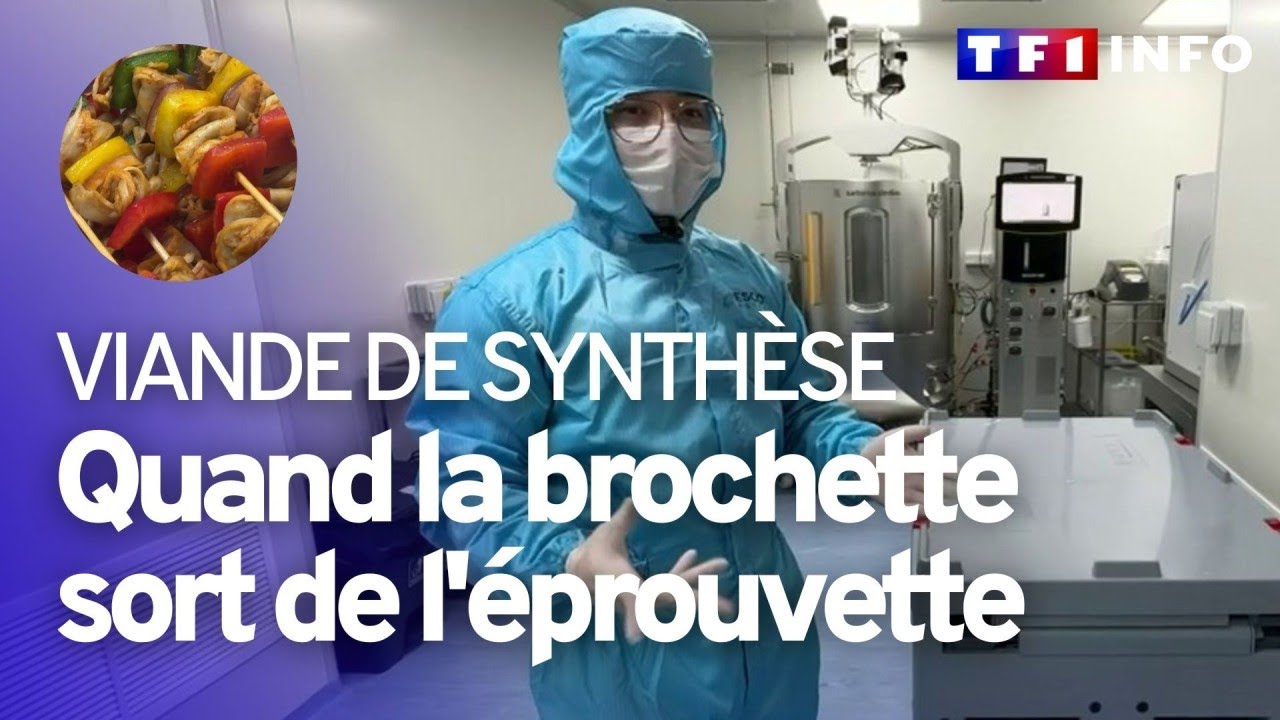 Viande de synthèse : la solution contre le réchauffement climatique et les abattoirs ?