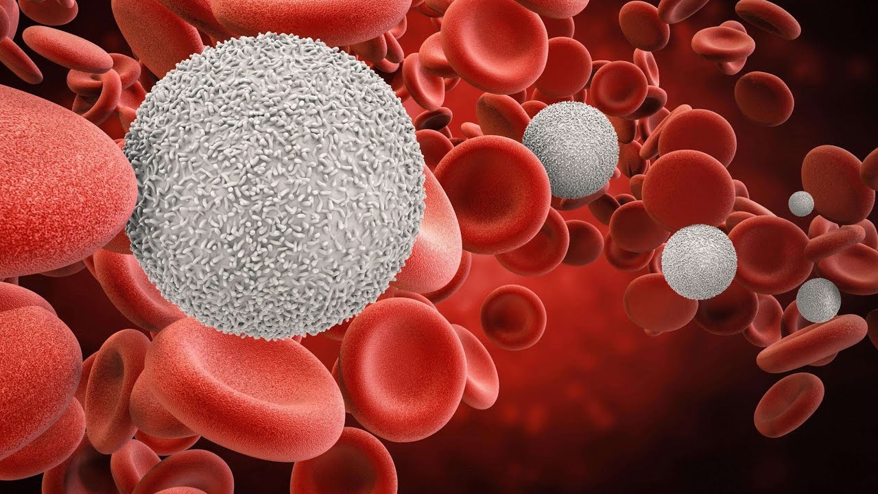 Technologist licenses exam (Q&A)