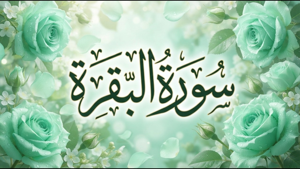 سورة البقرة ( كاملة و مكتوبة ) للقارئ عبد الولي الاركاني | تلاوة هادئة تريح القلب سورة البقرة