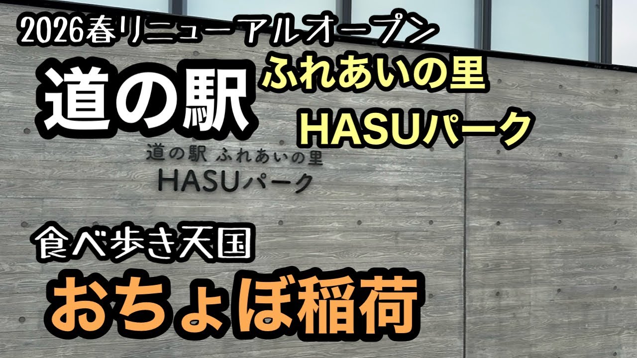【車中泊】大人気道の駅とオススメ食べ歩きスポットを徹底解説!!