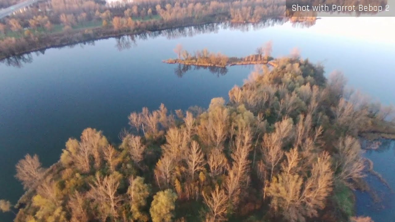 Rybník Polášek aneb Vrbické jezero