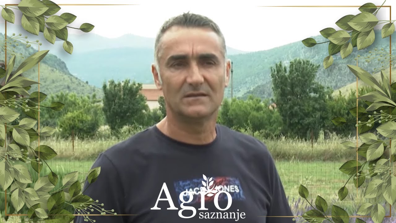 AGROSAZNANJE - Abdulah Muratović iz Petnjice uspješan poljoprivrednik, nezadovoljan podrškom države