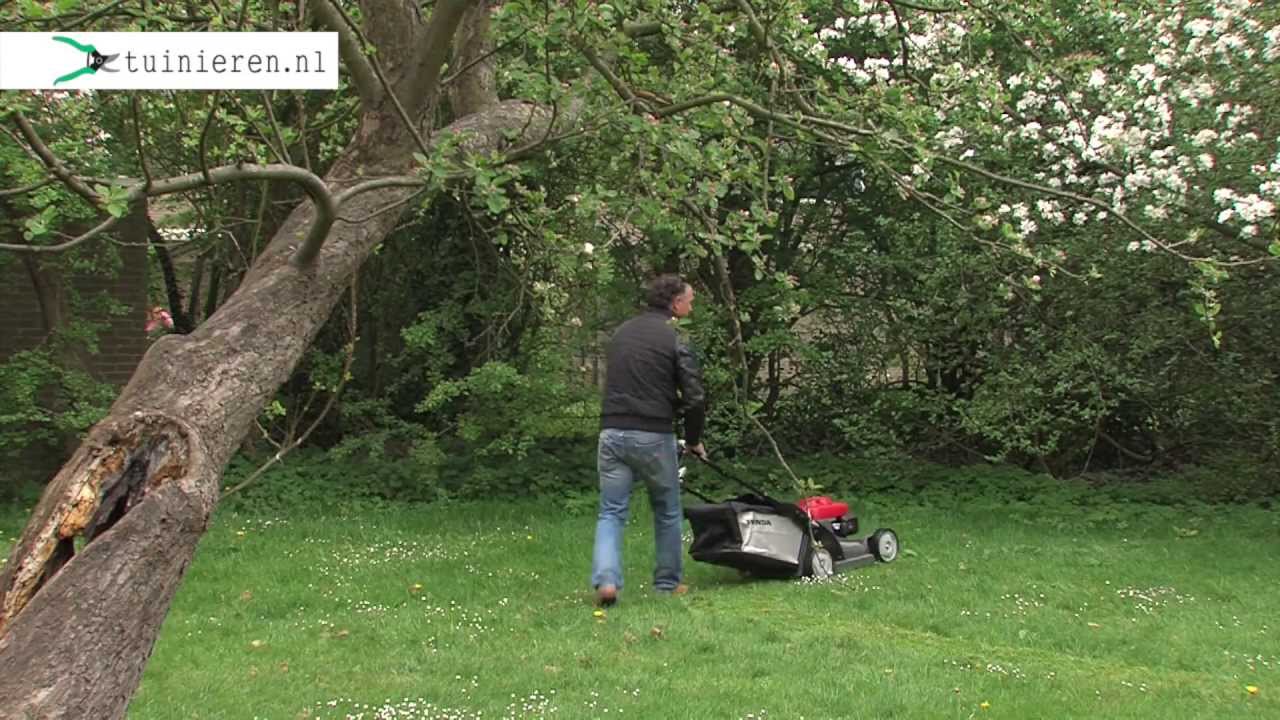 Hoe en wanneer grasmaaien? - Tuinieren.nl