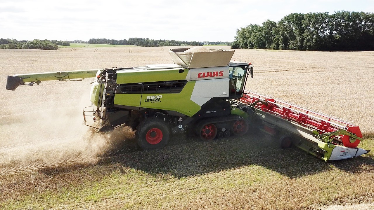 Claas Lexion 8900 harvesting Barley | Big Harvest