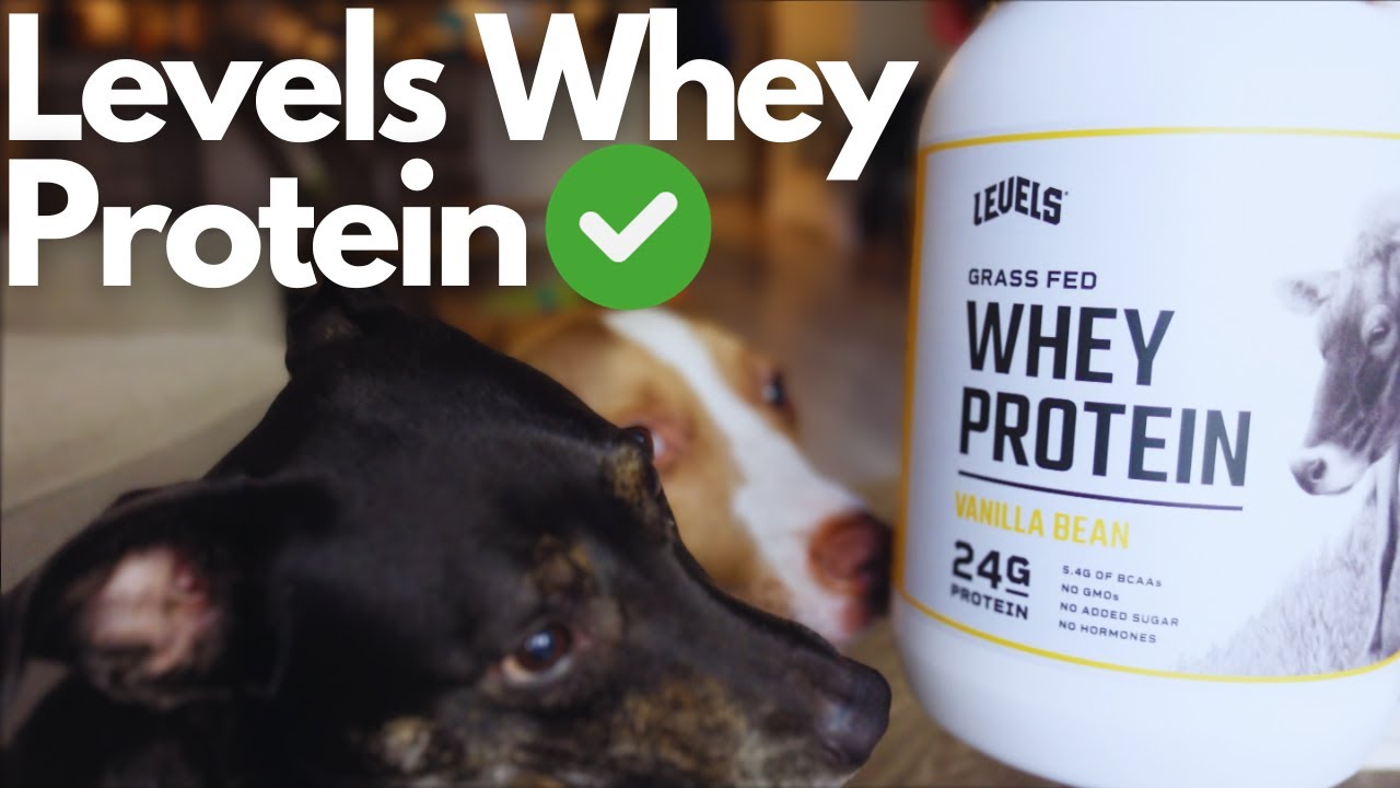 LEVELS | WHEY Protein Powder Review