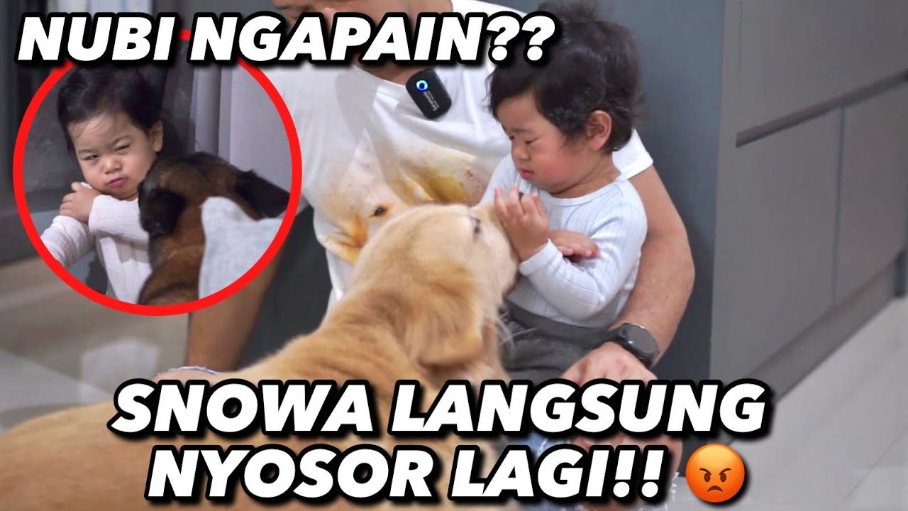 ANABUL KETEMU BABY ARIANA SETELAH 1 THN!! REAKSINYA MENGEJUTKAN 😱