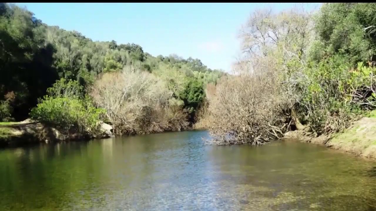 Ruta al Rio Hozgarganta en Jimena de la  Frontera (Cadiz).