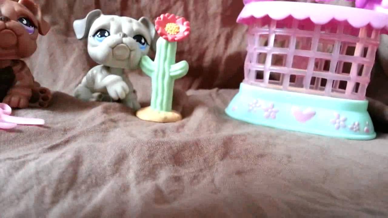 LPS: "Zakręceni" #32 Littlest Pet Shop !