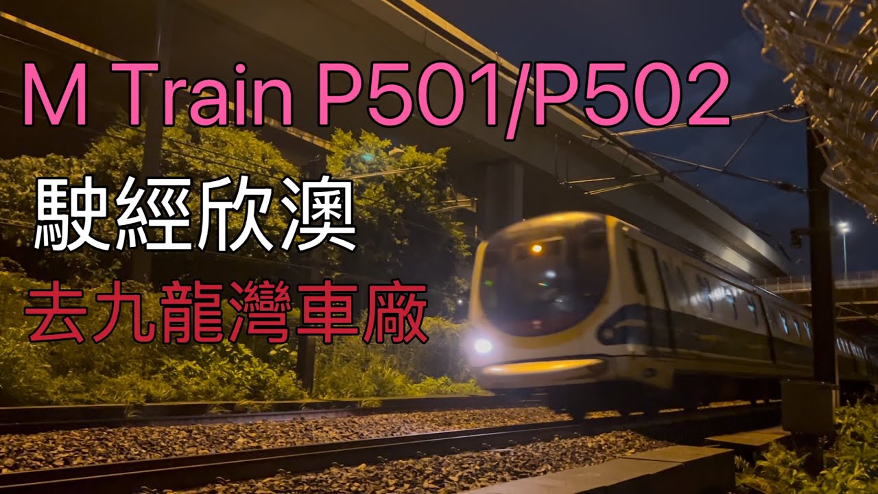 迪士尼綫M Train(P501/P502)駛經欣澳站及進入九龍灣車廠過廠