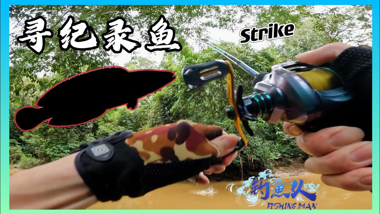 久违的丛林钓游//目标尖斑来袭!还有惊喜中的惊喜?! 【钓鱼人】