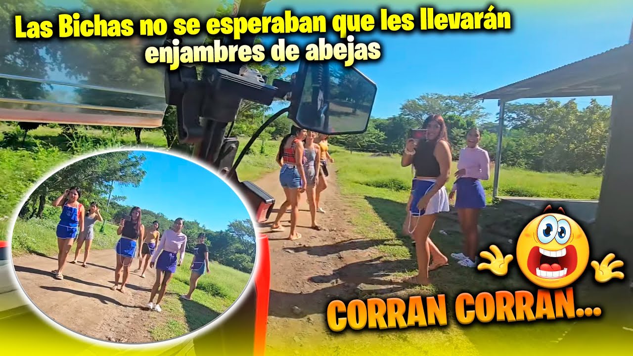 Nos fuimos con todo y abejas donde las Bichas. A Paterna lo atacaron un enjambre de abejas