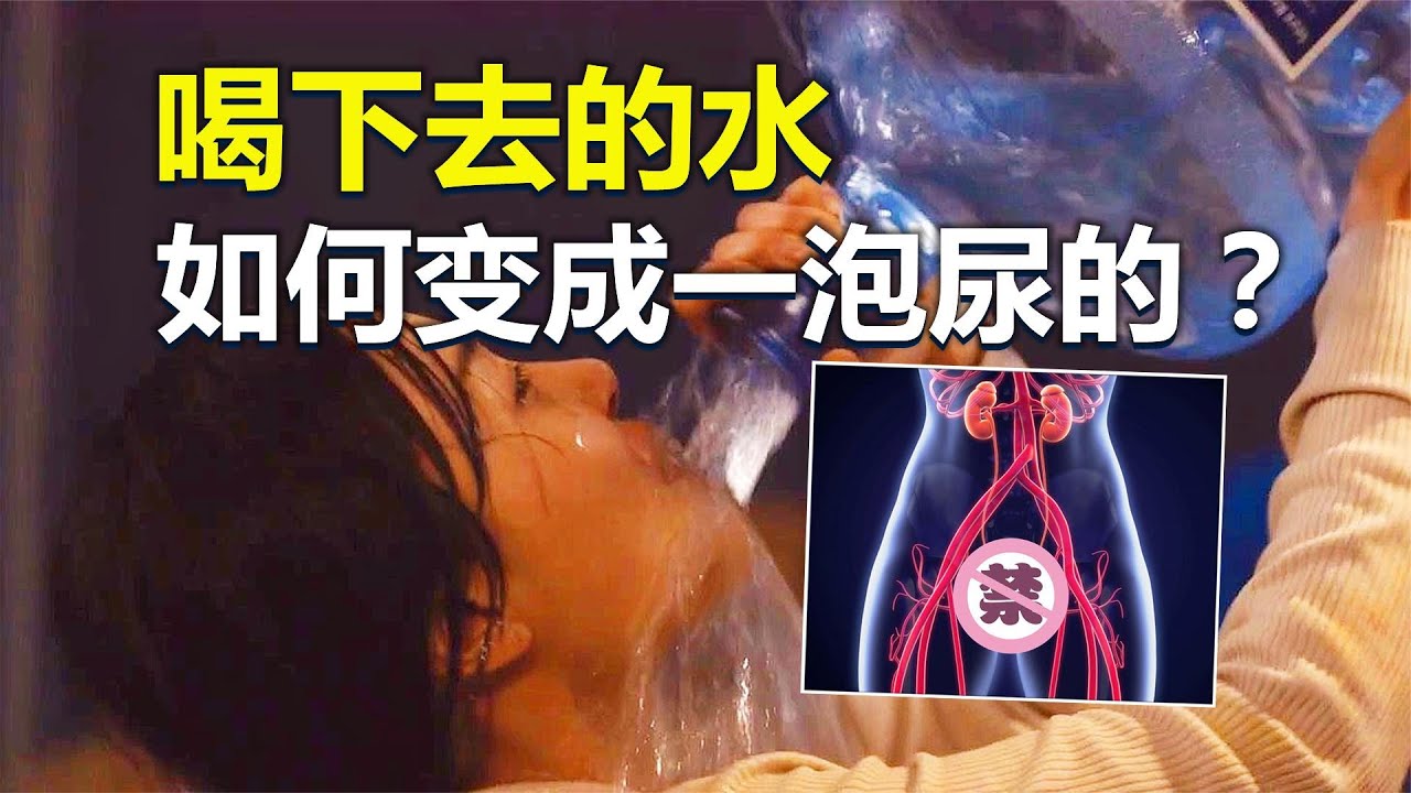 喝下去的水，是如何变成一泡尿的？6分钟了解水的神奇之旅