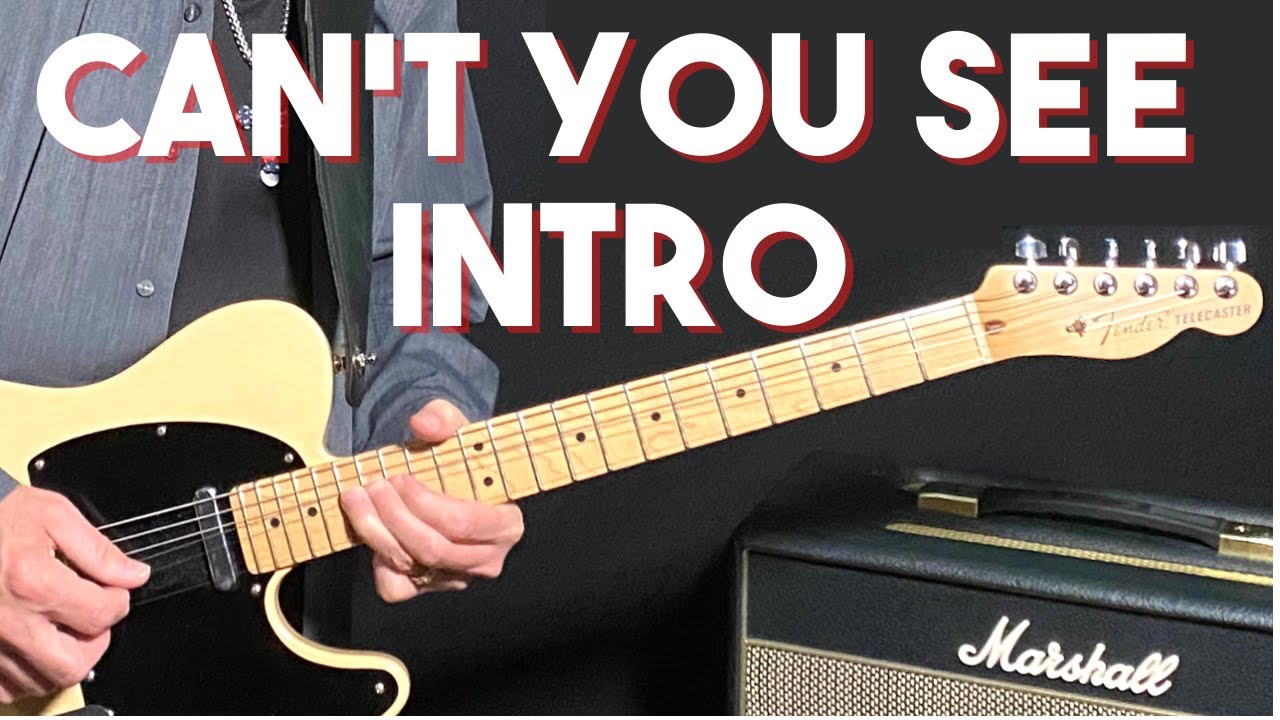 How to Play Can't You See Intro on Guitar